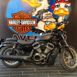 Harley-Davidson Nightster Special, 11/2023